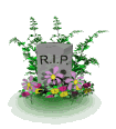 image008 image008