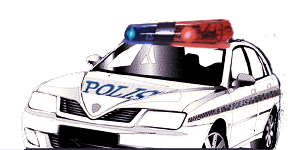 [police-car[2].gif]