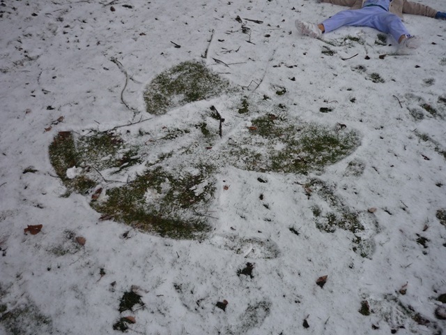 [Snow0124.jpg]
