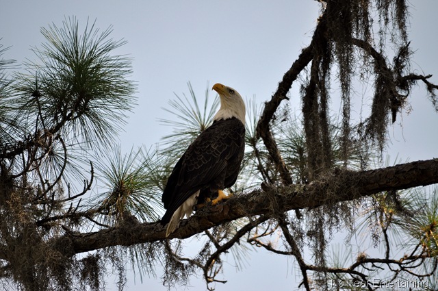 [DSC_0086[8].jpg]