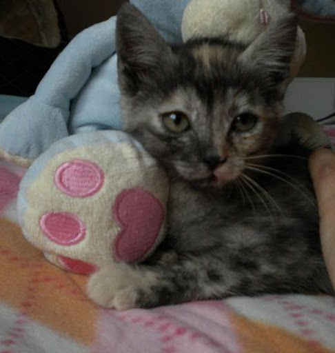 Xena
