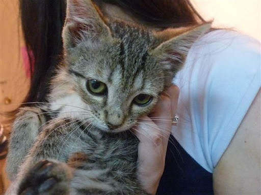 Micky