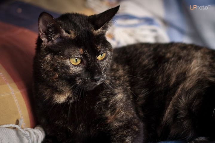 Kira