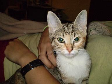 Phoebe en casa