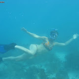 IMG_0862.jpg