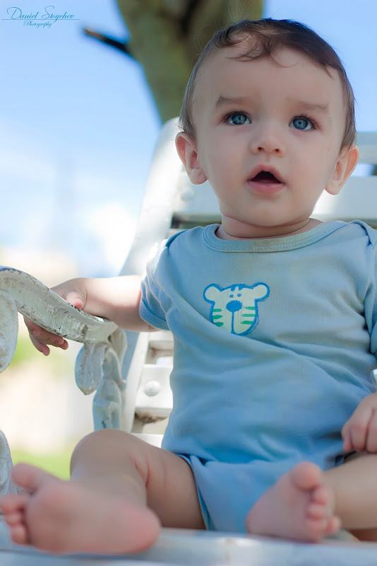 IMAGE: http://lh4.ggpht.com/_TmCQUSGa2D8/THNevZ1f0EI/AAAAAAAAA9Y/gXBHk9hXIKU/s800/IMG_4178g.jpg