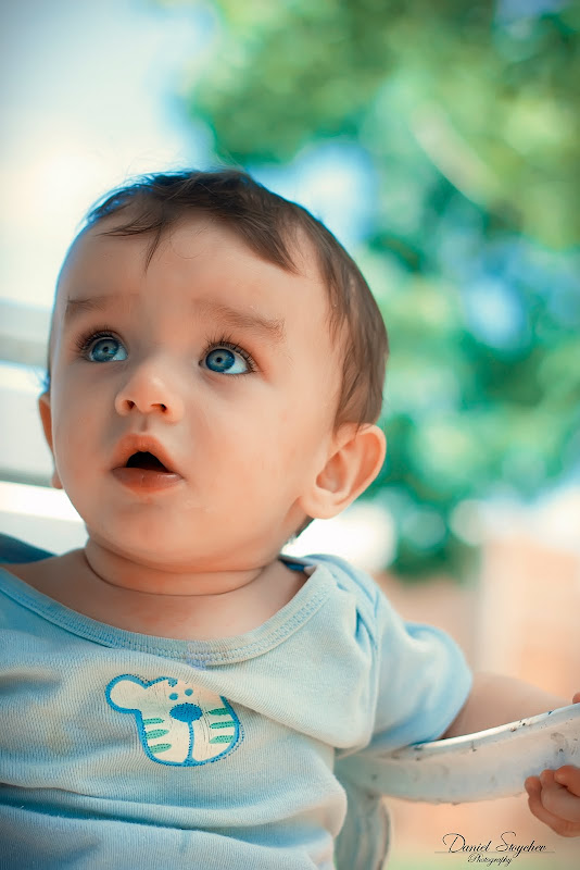 IMAGE: http://lh4.ggpht.com/_TmCQUSGa2D8/THNey0LxFKI/AAAAAAAAA9c/VqQnLorOBFo/s800/IMG_4195c.jpg