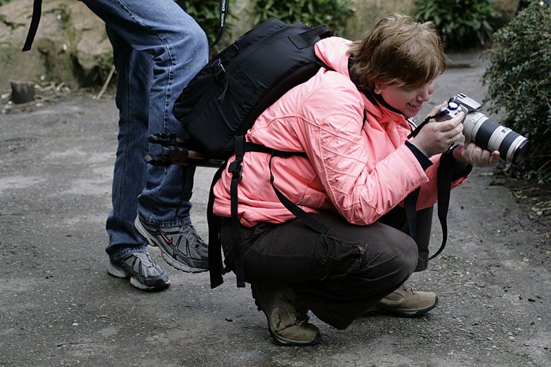 Fotografie