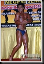 Mr Paroi 2010 Welter (3) Mr Paroi 2010 Welter (3)