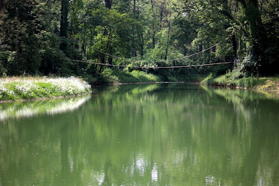 Lake Reflection - 365 photo paths