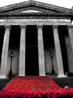 Poinsettias Red Carpet at Teatro Massimo - 365 photo paths