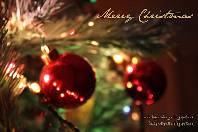 Merry Christmas - 365 photo paths