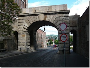 P1020502