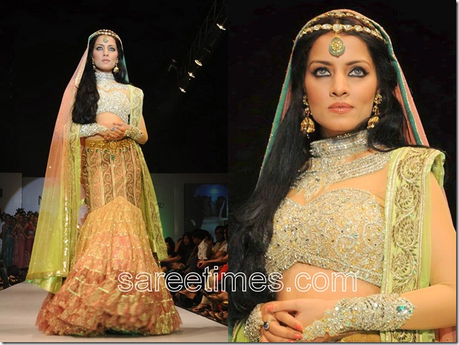 Celina-Jaitely-For-Neeta-Lulla-Hyderabad-Fashion-Week-2010