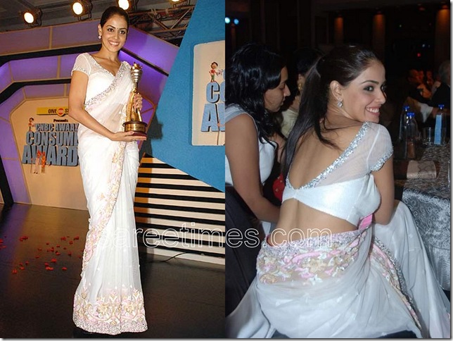Genelia-Manish-Malhotra-Saree-sareetimes.com-sariblog