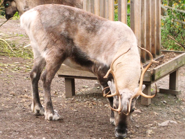 [IMG_41054.jpg]