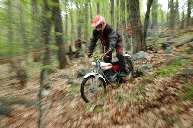 [DSC_4509[5].jpg]