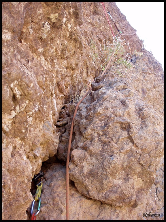 [P8150794[1].jpg]