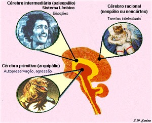 [cerebro REPTILIANO[6].jpg]