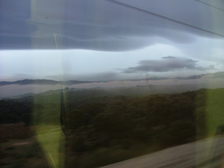 Niebla