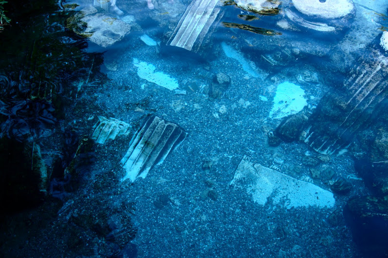 dsc_3274.jpg