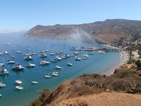 P9254763.JPG (Two Harbors, California, United States) Photo