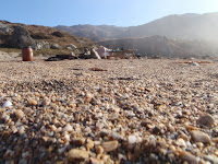 P9264854.JPG