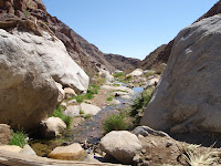 P3202069.JPG (Desert Sands Mobile Home Park, California, United States) Photo