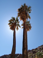 P3202071.JPG (Desert Sands Mobile Home Park, California, United States) Photo