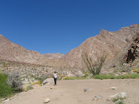 P3202039.JPG (Desert Sands Mobile Home Park, California, United States) Photo