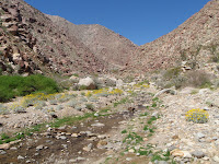 P3202048.JPG (Desert Sands Mobile Home Park, California, United States) Photo