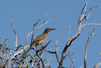 DSC01176.JPG