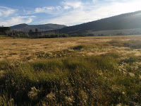 P7316998.JPG