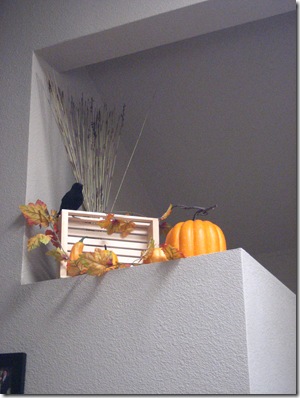IMG_2904 IMG_2904