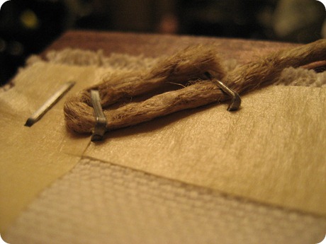 IMG_3599 IMG_3599