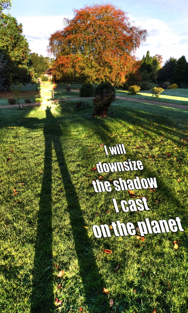 [iwilldownsizetheshadowIcastontheplan[1].jpg]