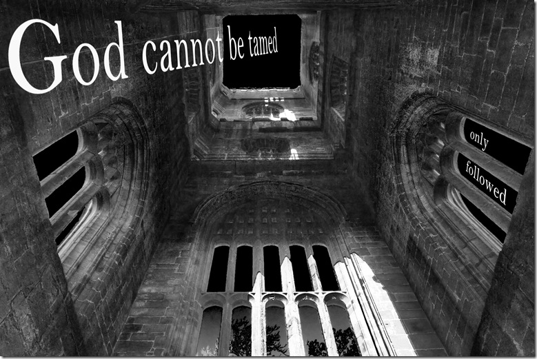 god cannot be tamed only followed copy