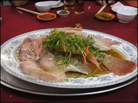 DSCN0685 DSCN0685