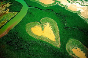Home Yann Arthus Bertrand