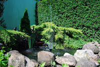 DSC_0927.JPG Photo