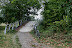 Attraverso il bosco.
