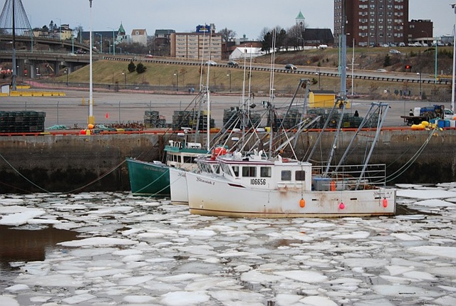 [saint john harbour river ice[4].jpg]