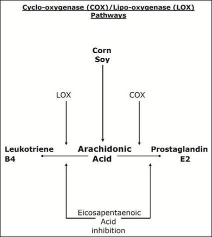 [clip_image006[4].jpg]