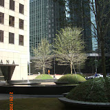 CIMG6282.JPG