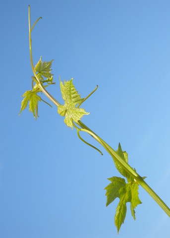 [DSCN1760 (3)[2].jpg]