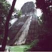 Tikal - Templo V.jpg