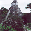 Tikal - El gran Jaguar.jpg