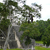 235 - Tikal - Templo II, de las máscaras.JPG