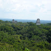 244 - Tikal - Vista desde el templo IV.JPG