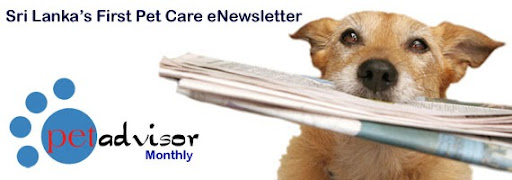 pet advisor newsletter